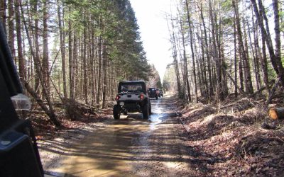 HEADING OUT FOR A BUMBLE TO OUR ‘local’ Jack’s Pizza! by LINDA McHATTEN